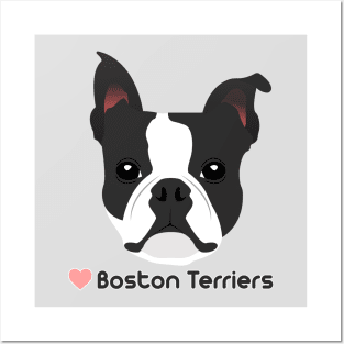 LOVE BOSTON TERRIERS Posters and Art